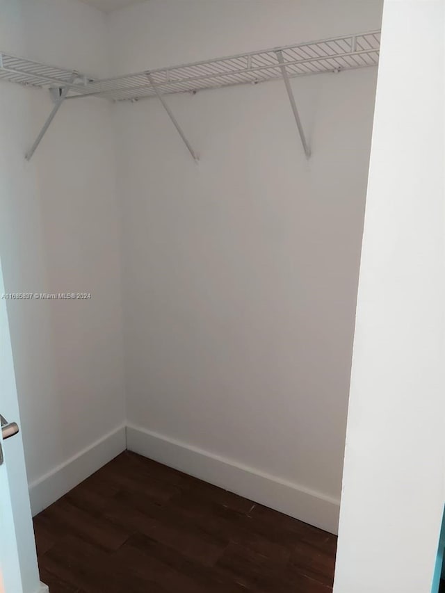 spacious closet with dark hardwood / wood-style floors