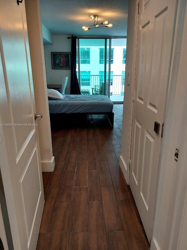 hall featuring dark hardwood / wood-style floors and floor to ceiling windows