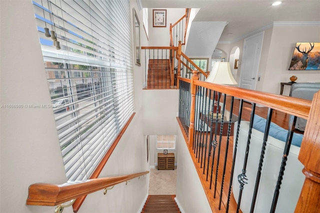 stairway featuring ornamental molding, carpet floors, and plenty of natural light