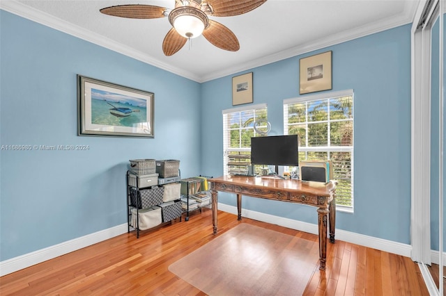 office featuring ceiling fan, hardwood / wood-style flooring, and crown molding