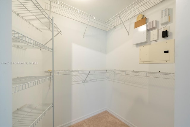 spacious closet featuring carpet flooring