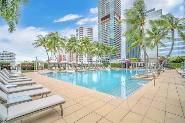 view of pool with a patio