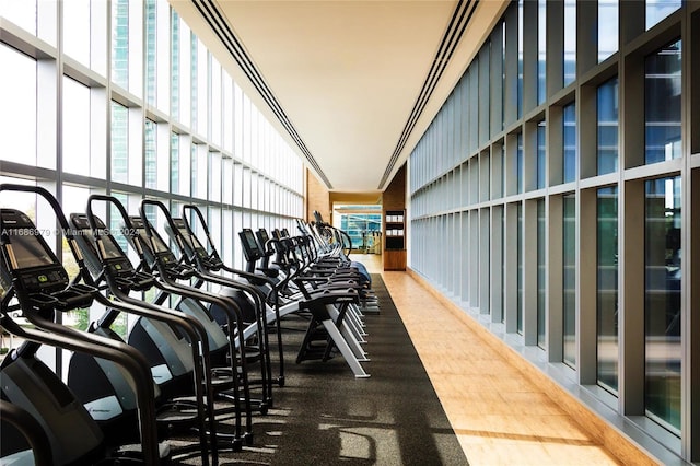 exercise room with a healthy amount of sunlight