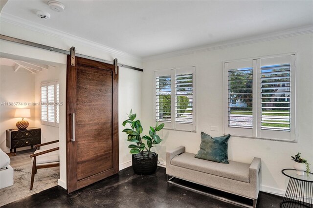 living room with ornamental molding, carpet floors, and ceiling fan