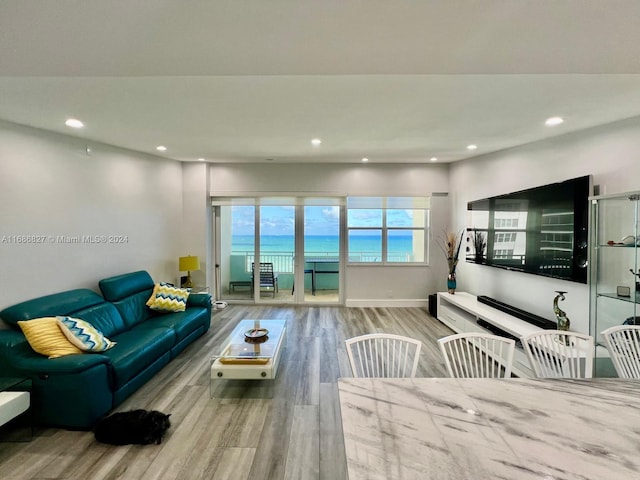 living room with light wood-type flooring