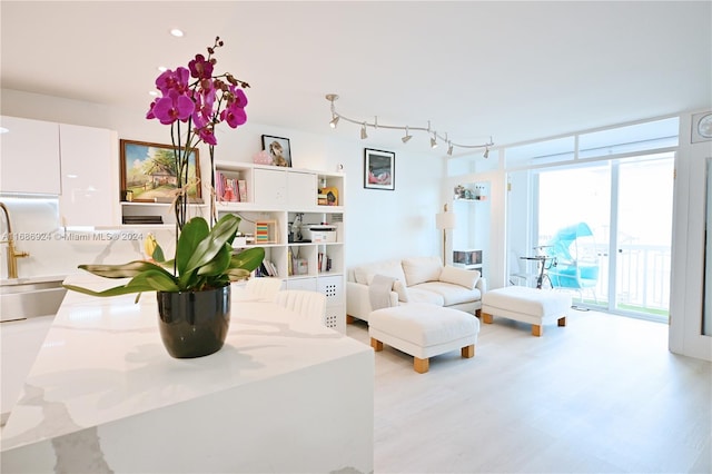 living room with light wood-type flooring and floor to ceiling windows