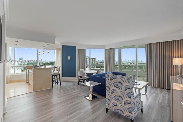 living room with light hardwood / wood-style floors