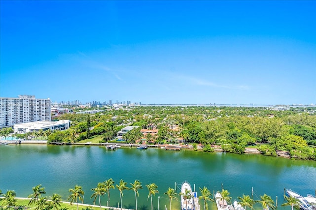 bird's eye view featuring a water view