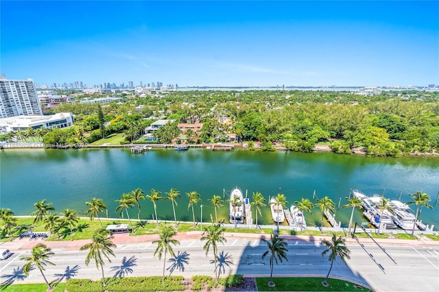 birds eye view of property with a water view