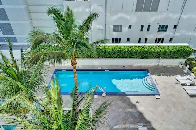 view of pool with a patio area