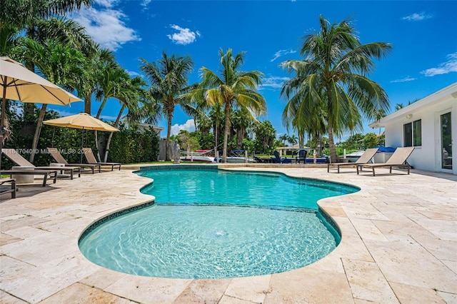 view of swimming pool featuring a patio