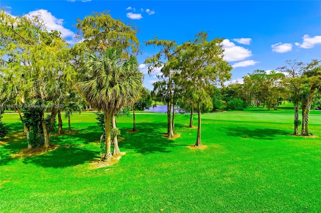 view of community featuring a lawn