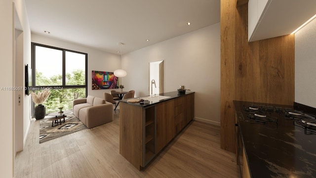 kitchen featuring light hardwood / wood-style floors, sink, and kitchen peninsula