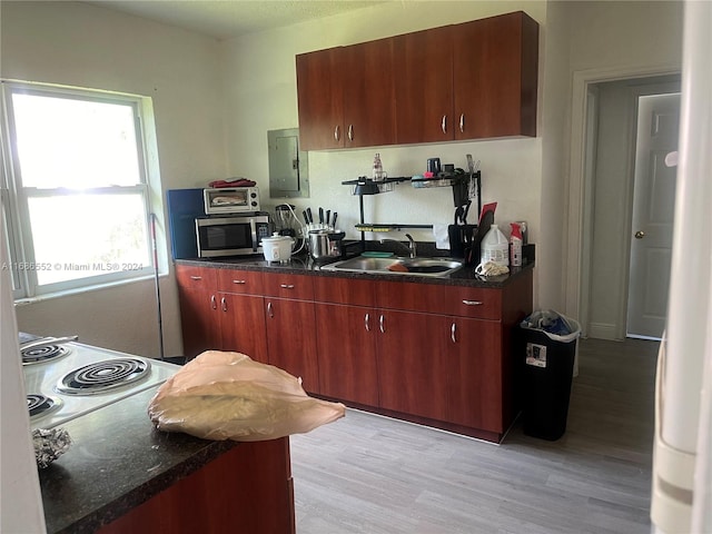 kitchen with electric panel, sink, plenty of natural light, and light wood-type flooring