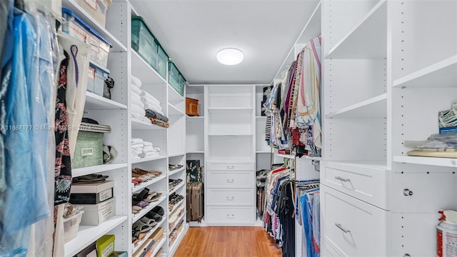 walk in closet featuring light hardwood / wood-style flooring