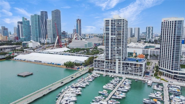 555 NE 15th St Unit 24B, Miami, FL 33132 - view of city skyline featuring numerous boat docks and a large body of water