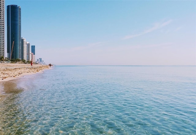 view of water feature featuring a view of the beach