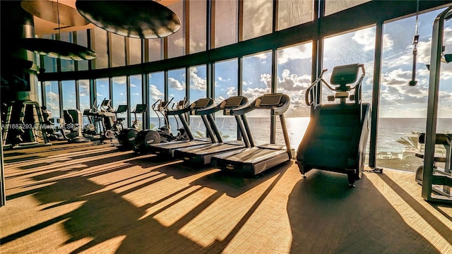 workout area with a water view and a towering ceiling