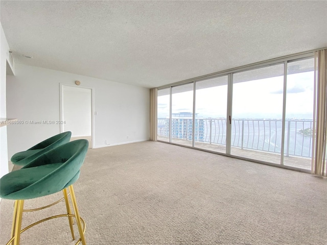 empty room with carpet flooring, a textured ceiling, and floor to ceiling windows