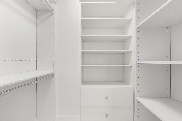 view of walk in closet