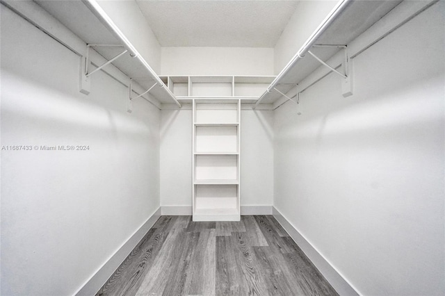 walk in closet featuring hardwood / wood-style floors