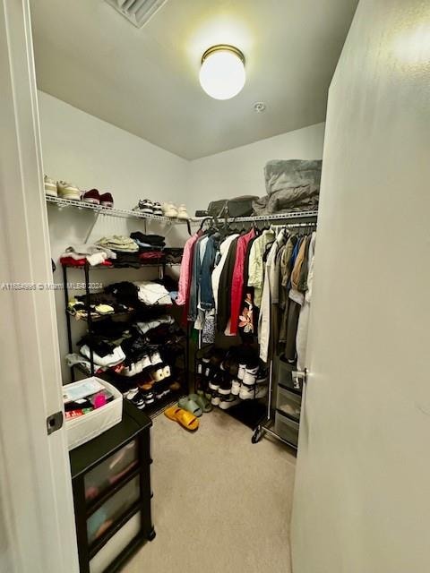 spacious closet with carpet floors