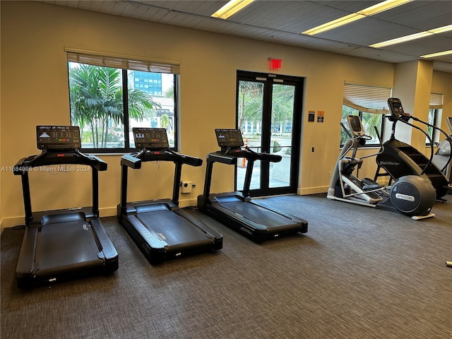 exercise room featuring french doors and carpet