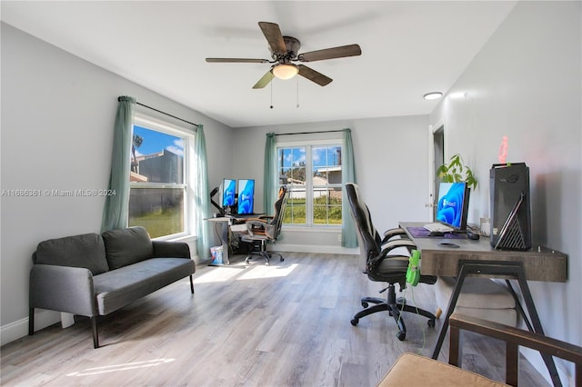 office space featuring light hardwood / wood-style flooring and ceiling fan