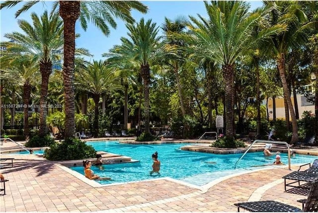 view of pool featuring a patio