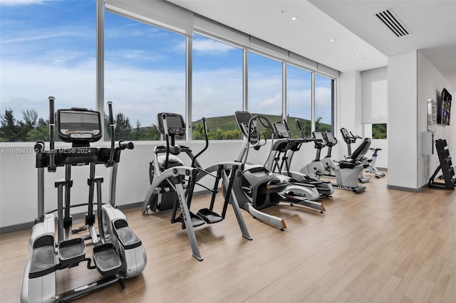 exercise room featuring light hardwood / wood-style flooring