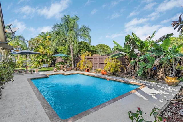 view of pool with a patio