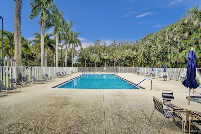 view of swimming pool featuring a patio