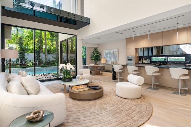 living room with a towering ceiling and light hardwood / wood-style floors