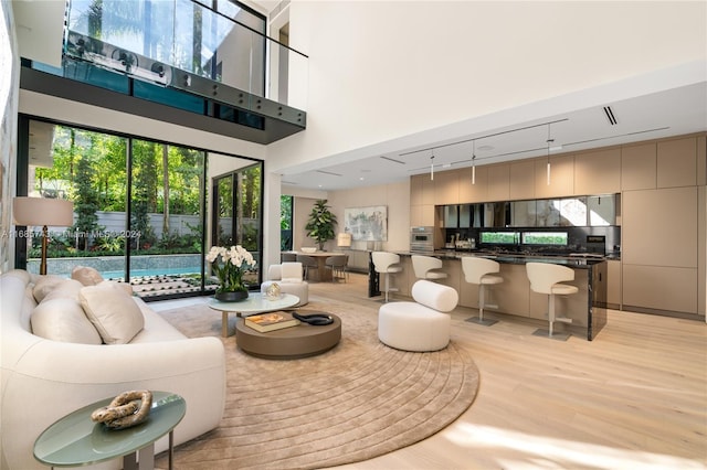 living room with a high ceiling and light hardwood / wood-style flooring