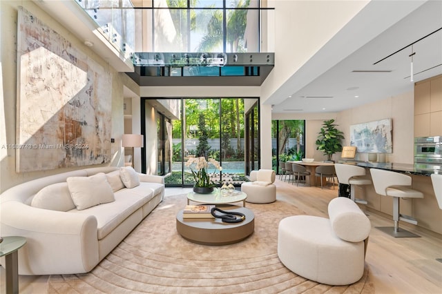 living room with light wood-type flooring and a towering ceiling