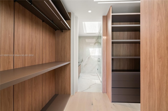 spacious closet featuring a skylight