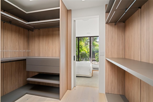 spacious closet featuring light hardwood / wood-style flooring