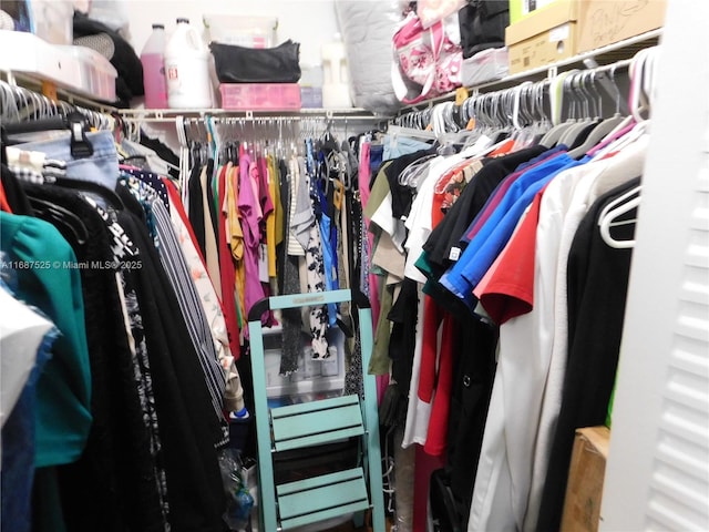 view of walk in closet