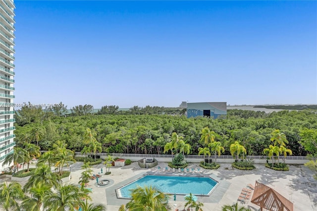 view of swimming pool with a patio