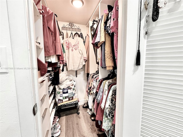 spacious closet featuring wood-type flooring