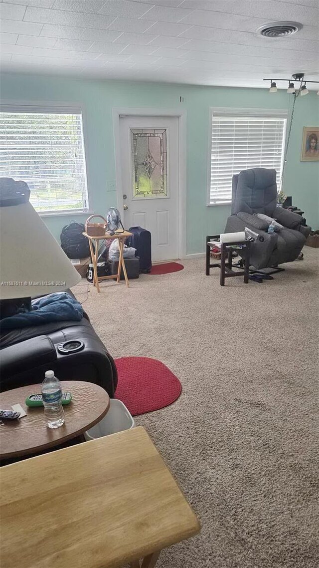 living area with plenty of natural light and carpet floors