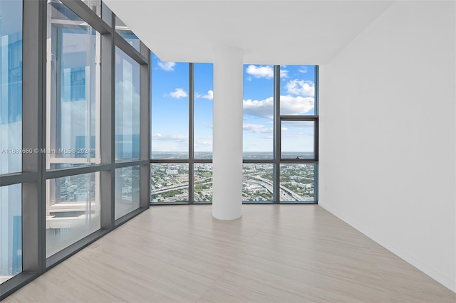 unfurnished room with light hardwood / wood-style floors, a healthy amount of sunlight, and a wall of windows