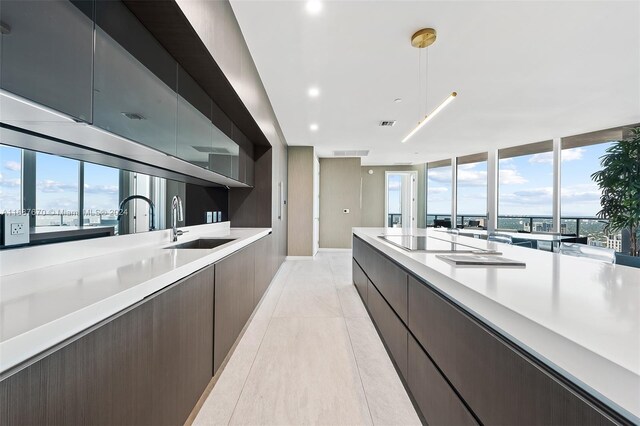 kitchen featuring a healthy amount of sunlight, dark brown cabinetry, sink, and black electric cooktop