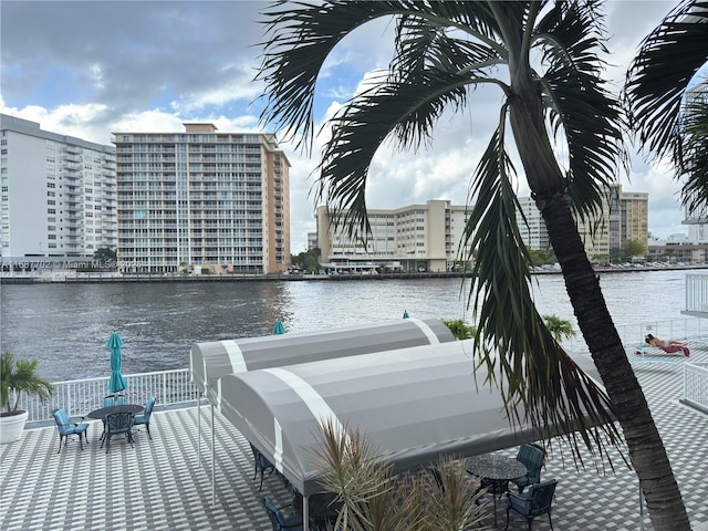 dock area with a water view