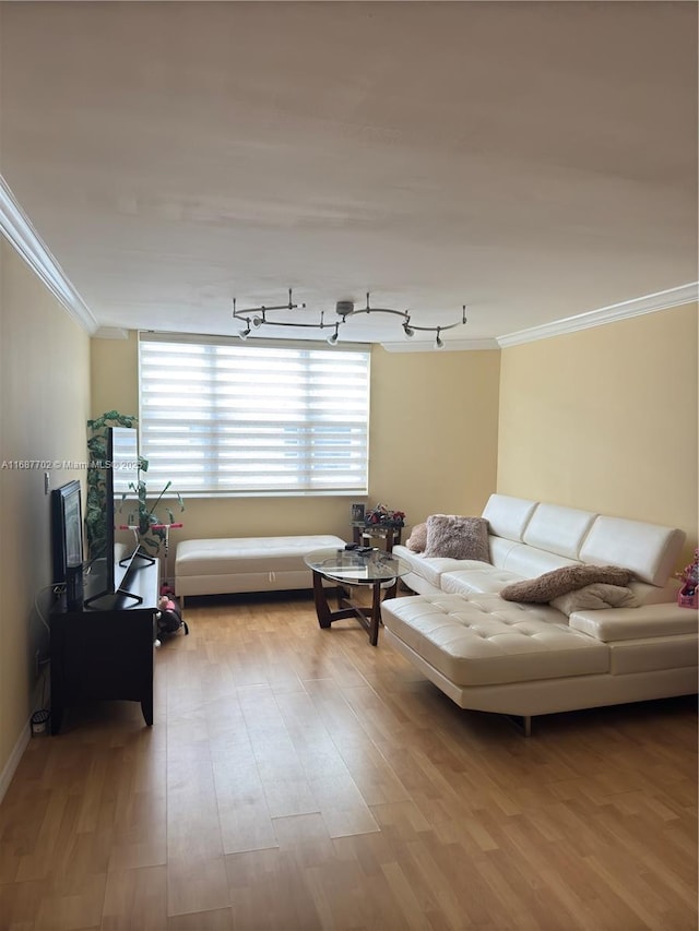 living room featuring crown molding and light hardwood / wood-style flooring