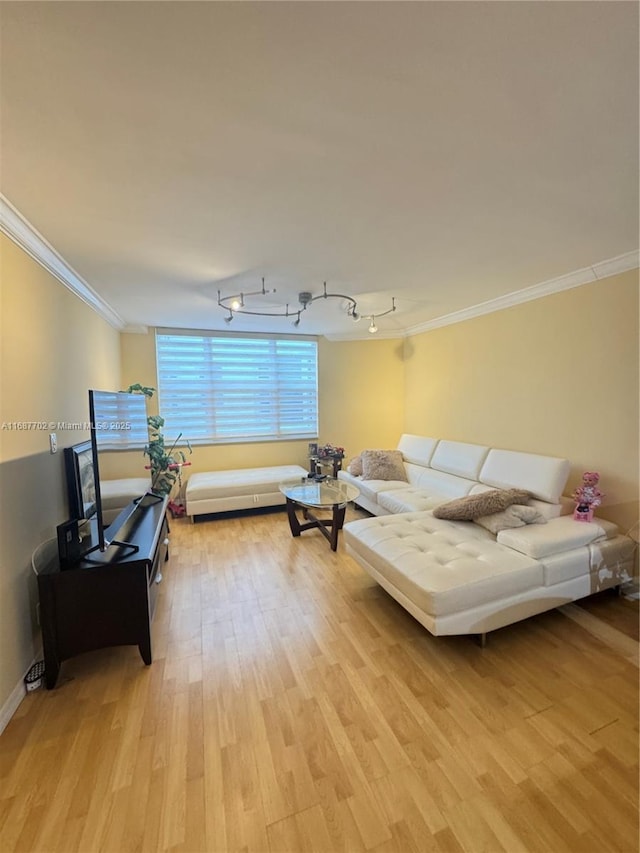 living room featuring crown molding, track lighting, and light wood-type flooring