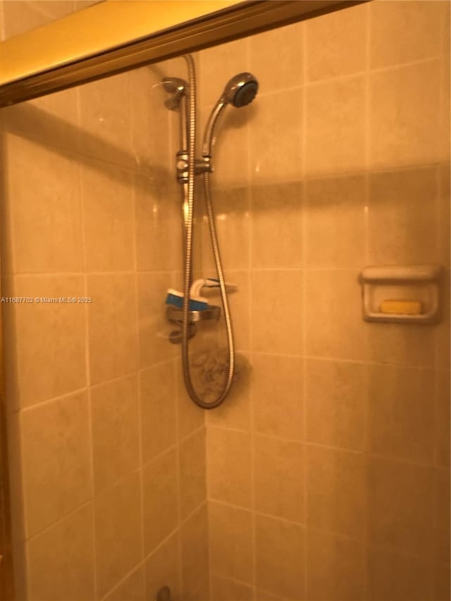 interior details featuring tiled shower