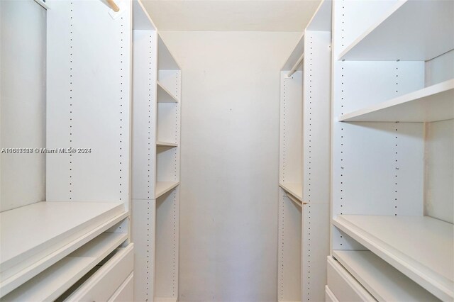 view of walk in closet