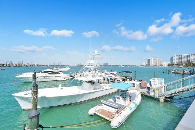 dock area with a water view