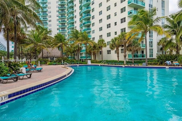 view of swimming pool